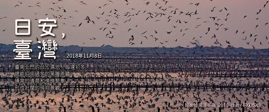 365 日安，臺灣之2018年11月8日